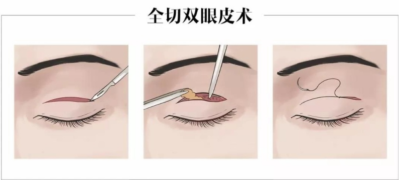 QQ瀏覽器截圖20210908174407.png