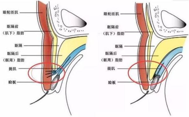 QQ瀏覽器截圖20210908175425.png