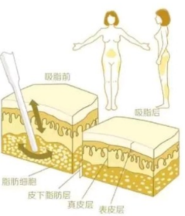 QQ瀏覽器截圖20210910105525.png QQ瀏覽器截圖20210910105525.png