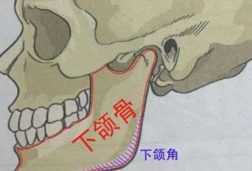 企業(yè)微信截圖_20220218111506.png