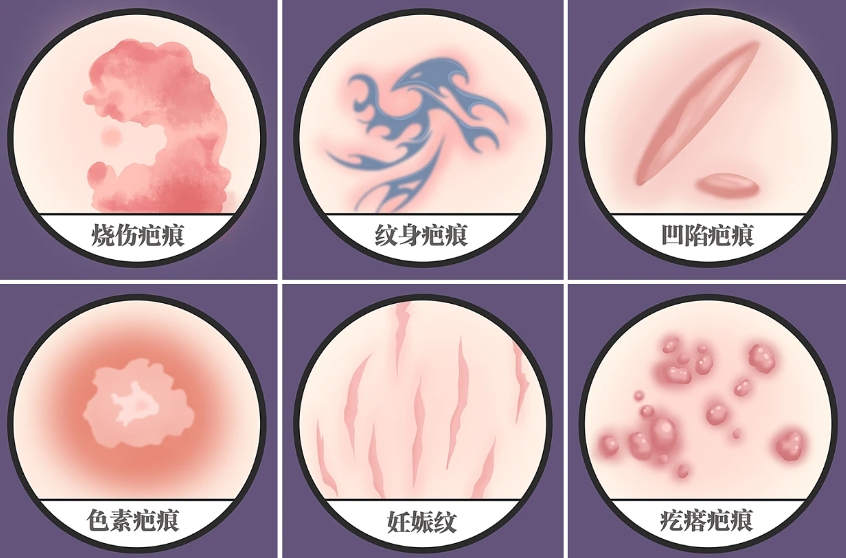 微信截圖_20231207163328.png