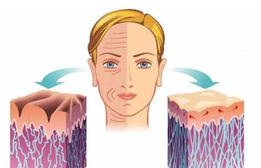 微信截圖_20240506204607.png 微信截圖_20240506204607.png